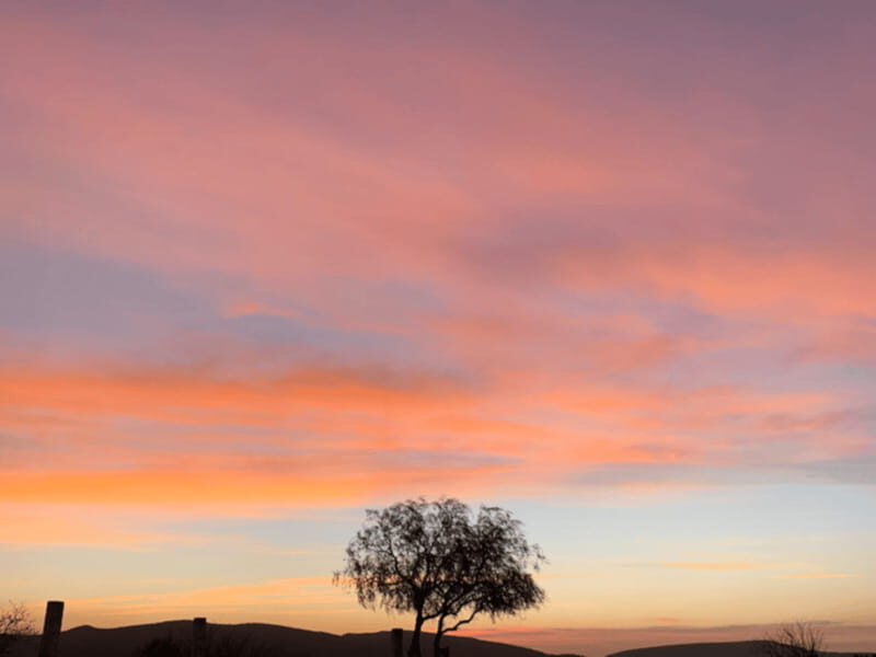 Tequisquiapan: UTV Adventure Tour with Guide - An In-Depth Look at the UTV Adventure Experience