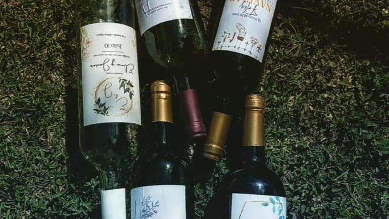 Tequisquiapan: UTV Adventure with Winery and Cheese Tasting - A Closer Look at the Experience