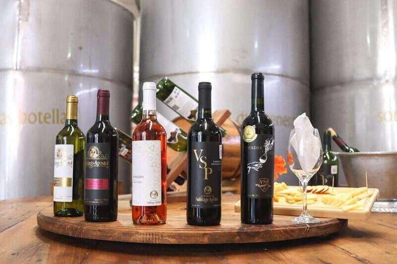 Tequisquiapan: UTV Adventure with Winery and Cheese Tasting - Is This Tour Worth the Price?