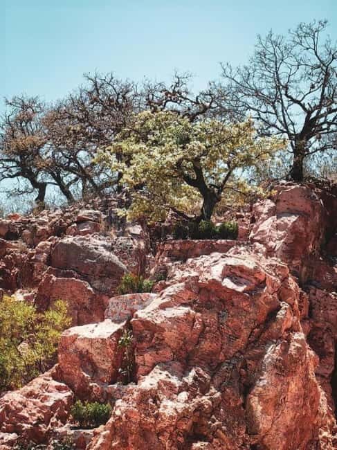 Tequisquiapan: UTV Tour to Opal Mine with Art Workshop - A Closer Look at the UTV Opal Mine Experience