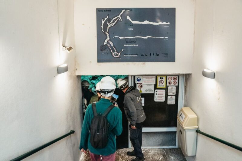 Terceira: Algar do Carvão Lava Caves Tour - Who is This Tour Best For?