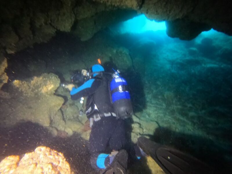 Terceira Azores: Scuba-Double dive Trip(certified Divers) - Who Will Love This Experience?