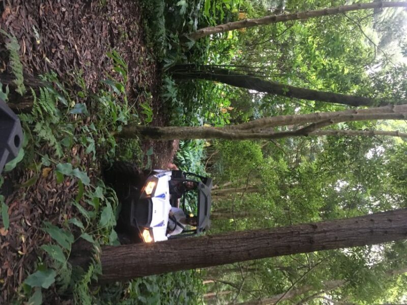 Terceira: Buggy Tour 4x4 West Side Azores Retreat - Exploring Terceira with the Buggy Tour 4x4 West Side Azores Retreat