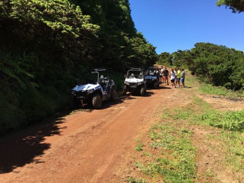 Terceira: Buggy Tour 4x4 West Side Azores Retreat - Final Verdict
