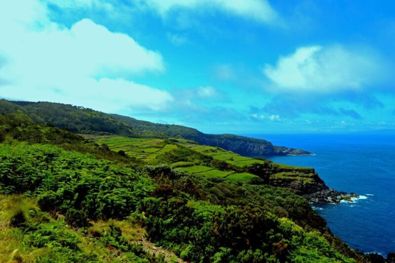 Terceira: Half-Day Island Tour with Cheese Tasting - Who Will Love This Tour?