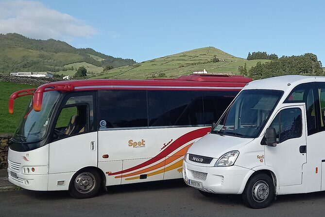 Terceira Island Airport Transfer - The Real Value: Reviews and Authentic Experiences