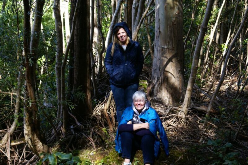 Terceira Island: Full-Day Mud Adventure & Traditional Lunch - What the Tour Entails