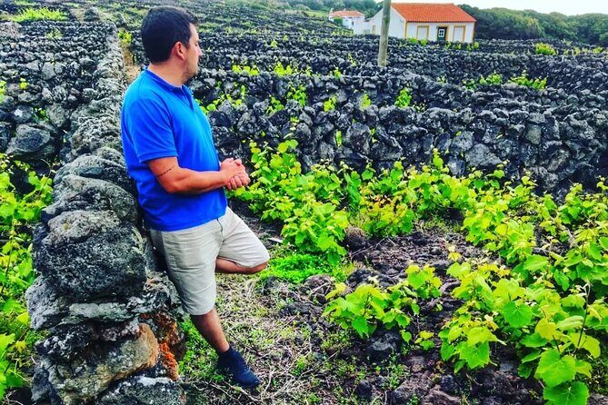 Terceira Island full day tour - Who Will Love This Tour?