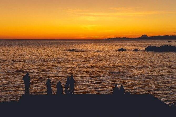 Terceira Island: Full Day Tour - Transportation and Group Dynamics
