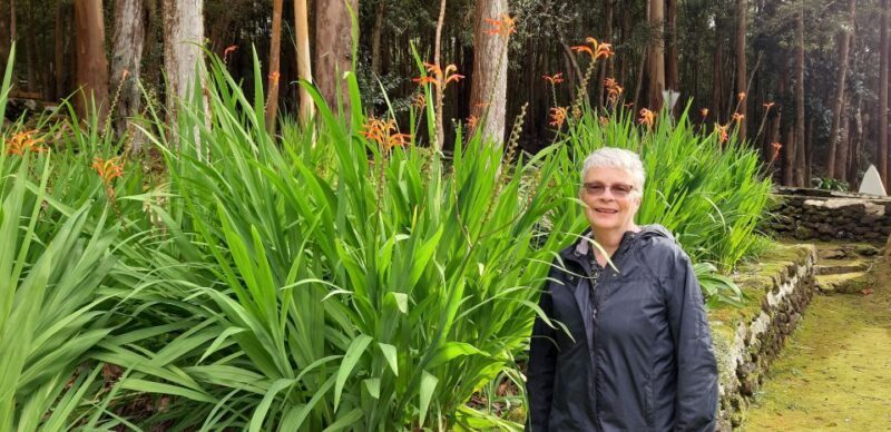 Terceira Island: Full Day Van Tour - The Itinerary Breakdown: What You Can Expect