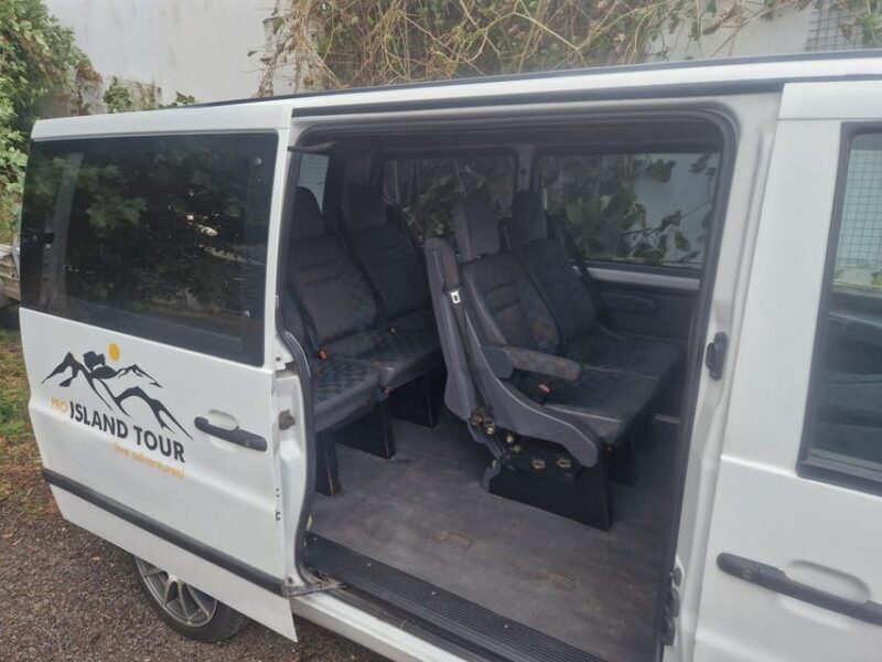 Terceira Island: Full Day Van Tour with Traditional Lunch - Who Is This Tour Best For?