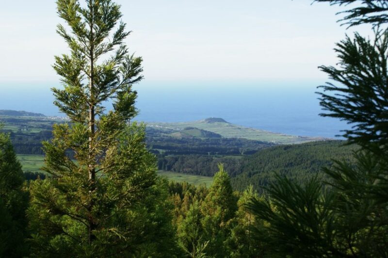 Terceira Island: Half-Day 4X4 Tour - What Makes This Tour Stand Out