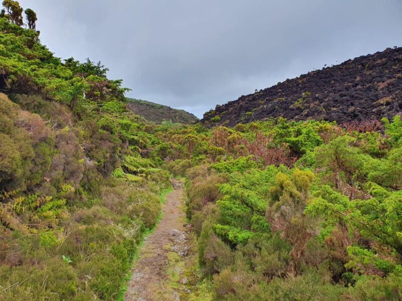 Terceira Island Half Day Hiking Trail: Mistérios Negros - Key Points