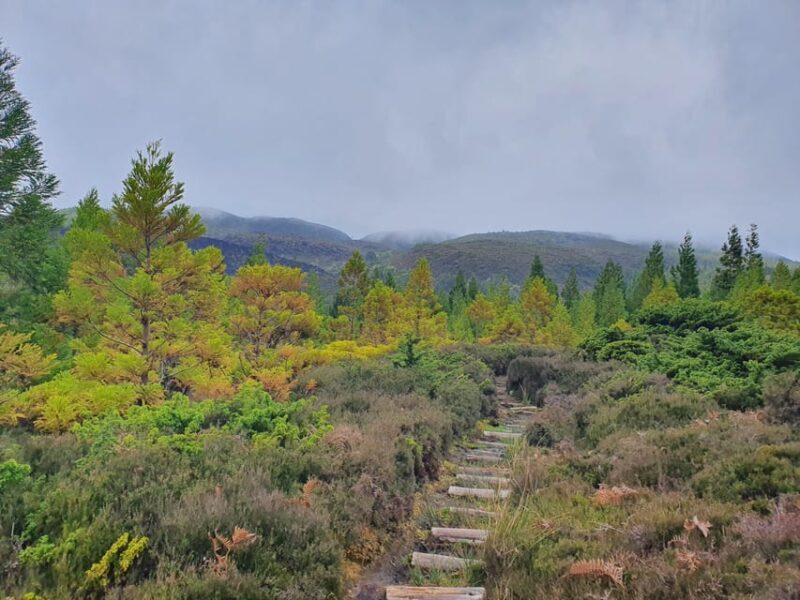 Terceira Island Half Day Hiking Trail: Mistérios Negros - The Itinerary in Detail: What You Can Expect