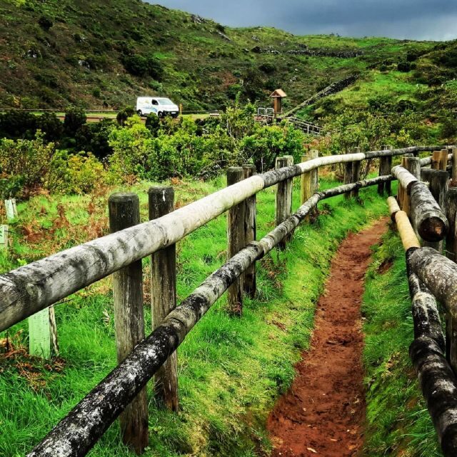 Terceira Island : Half-Day Van Tour to the Caves - What to Expect from the Tour