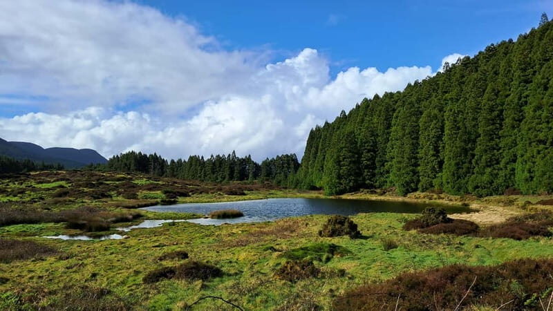 Terceira Island: Highlights Tour with Traditional Lunch - Value and Overall Impression