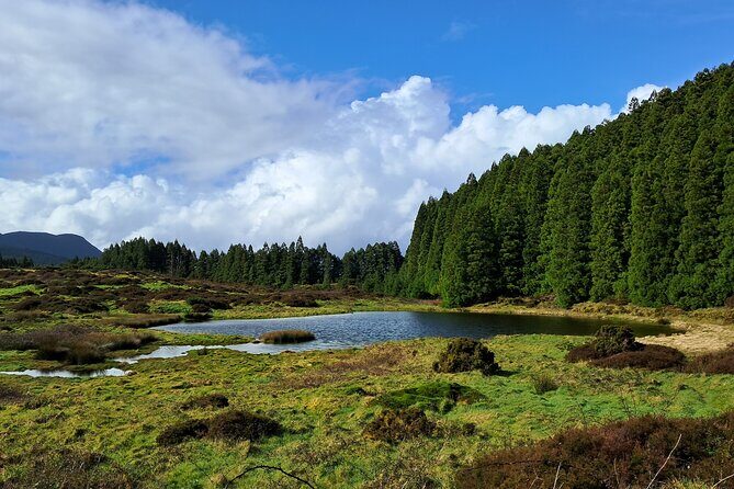 Terceira Island Highlights with Traditional Lunch - The Sum Up