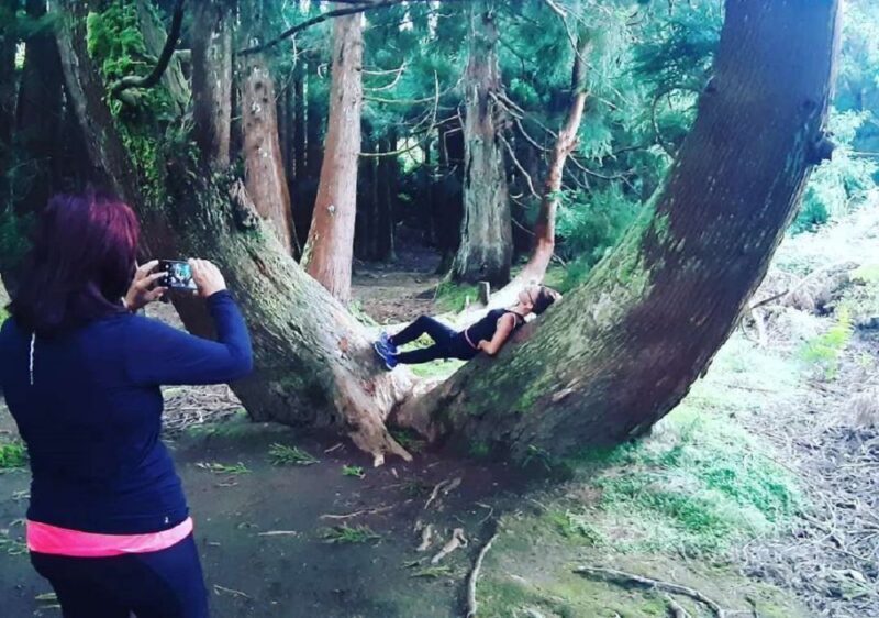 Terceira Island : Hiking Trail Rocha do Chambre - Why This Trail Is a Great Choice