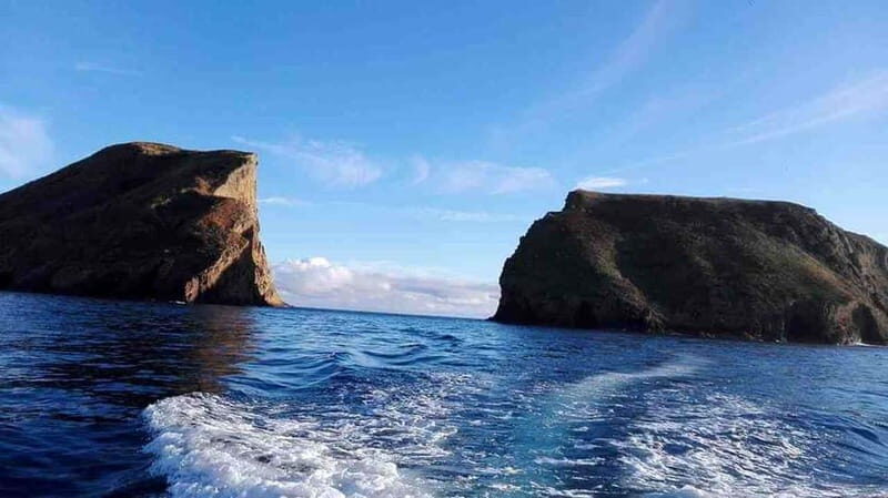 Terceira Island: Ilhéu das Cabras Boat Tour + Snorkeling - An In-Depth Look at the Tour Experience