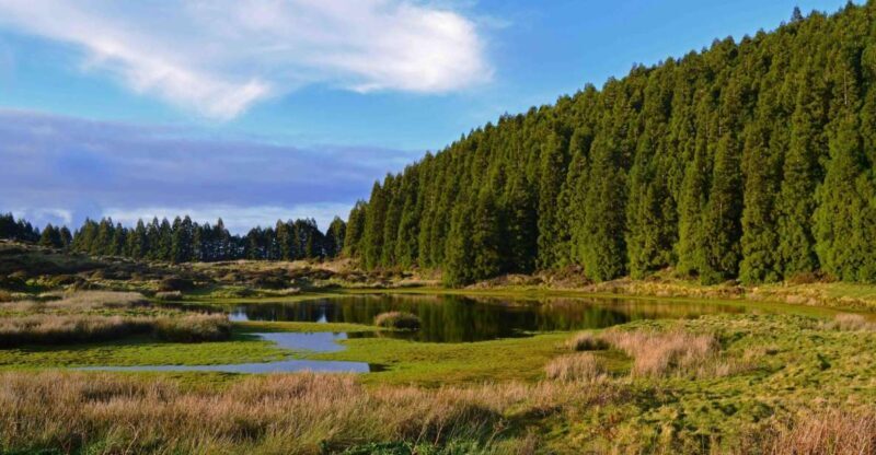 Terceira Island: Mistérios Negros Hiking - A Deep Dive into the Mistérios Negros Hiking Experience
