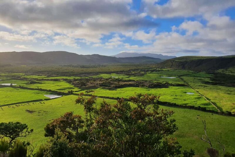 Terceira Island: Passagem das Bestas Hike w/Cheese Tasting - Discovering the Caldeira de Guilherme Moniz