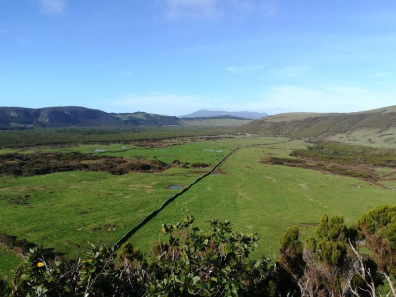 Terceira Island Scenic Hiking Trails Tour (Shared Tour) - An In-depth Look at the Tour Experience