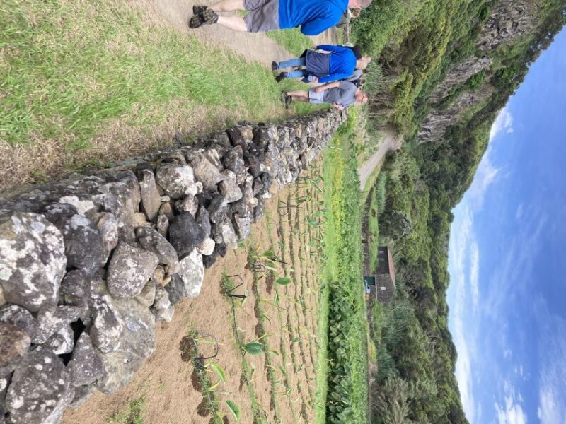 Terceira Island Scenic Hiking Trails Tour (Shared Tour) - Authentic Experiences and Practical Details