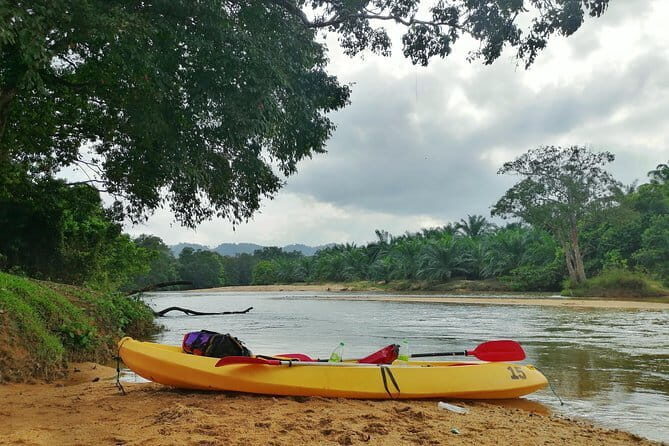 Terengganu Wildlife Kayak Tour - A Closer Look at the Tour Experience