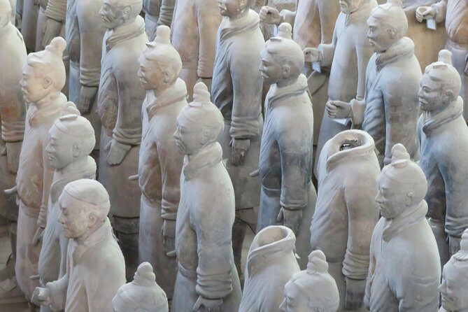 Terra Cotta Army Museum Tour with Noodle / Dumpling Making Class - Transport and Timing
