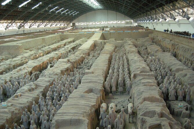 Terra-cotta Warriors Ticket with Optional Car & Guided Service - The Sum Up