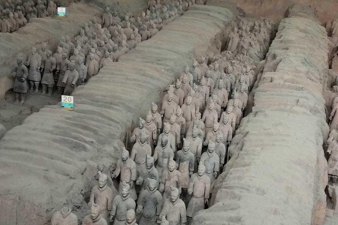 Terracotta Warriors Museum Tour with Airport Pickup or Drop-off Transfer - The Sum Up