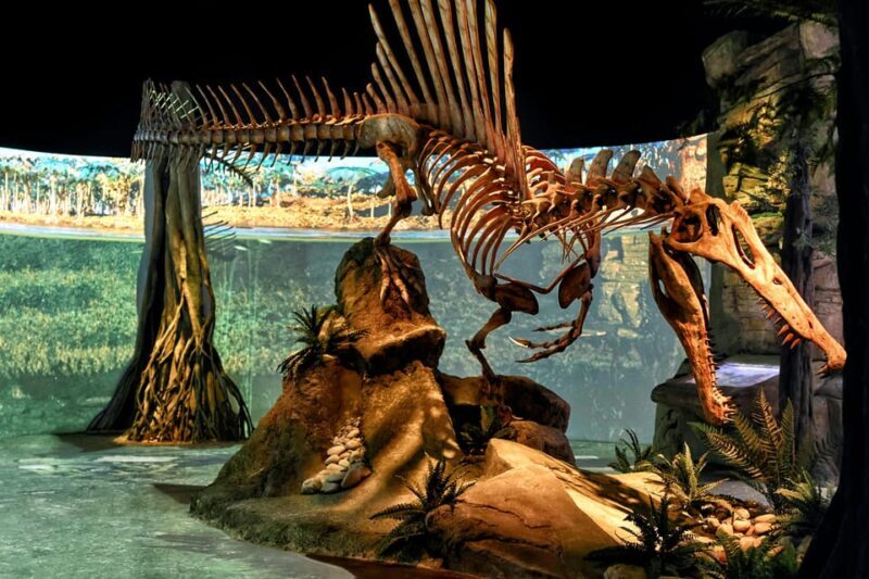 Teruel : Dinopólis Entry ticket - The Paleontological Museum and Scientific Insights