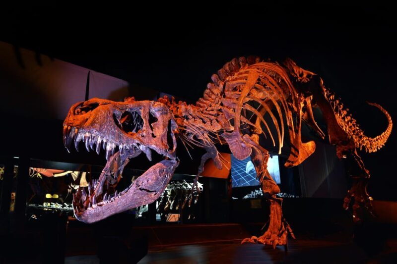 Teruel : Dinopólis Entry ticket - Who Will Enjoy Dinopolis?