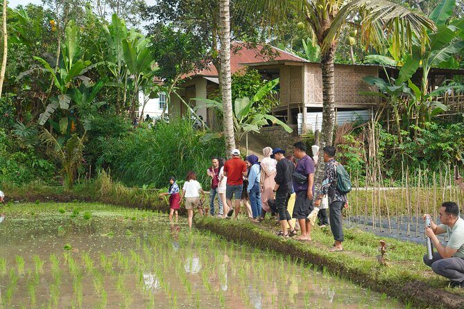 Tete Batu Tour (Temple, Terrace Rice, and Waterfalls) - Final Thoughts