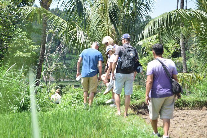 Tetebatu Walking Tour - Rice Terraces, Waterfall & Monkey Forest - An Authentic Day in Lombok: The Tetebatu Walking Tour in Detail