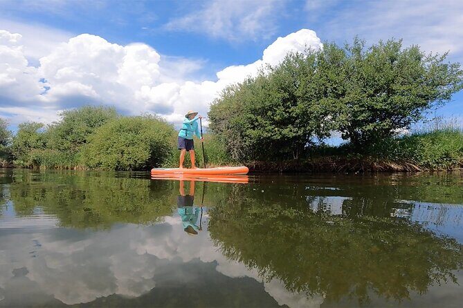 Teton River Paddleboard Adventure - 4.5 Miles - Not Just for Beginners