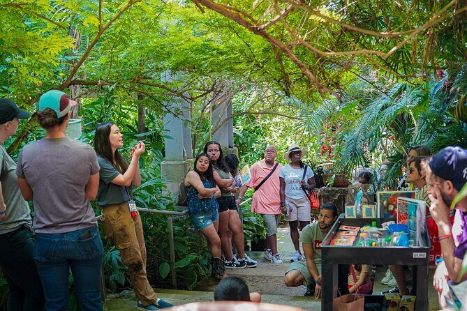 Texas Discovery Gardens General Admission - Introduction