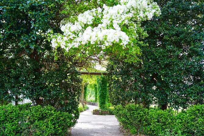 Texas Discovery Gardens General Admission - Final Thoughts