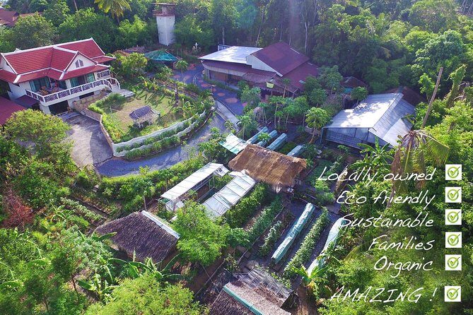 Thai Cooking Class experience - Farm to table since 2015 - The Sum Up