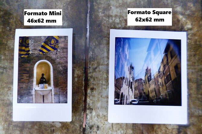 The 17 Fantastic Animals of Siena - Why the Price Reflects Good Value