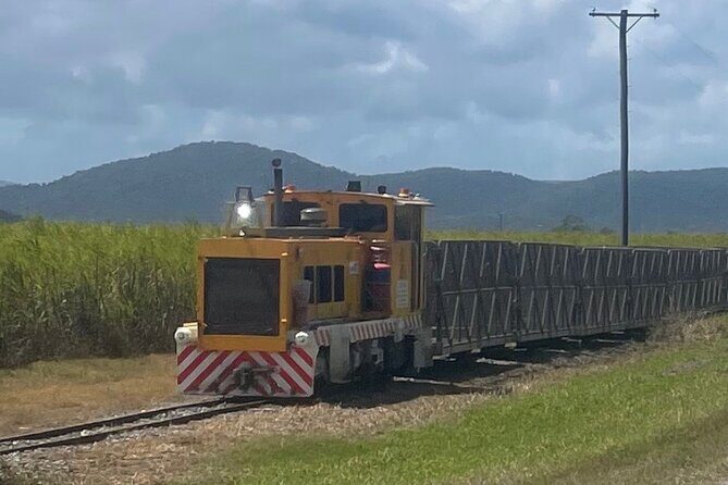 The Airlie Sightseeing Bus  (Cruise-Ship Friendly) - The Sum Up: Who Should Consider the Airlie Sightseeing Bus?