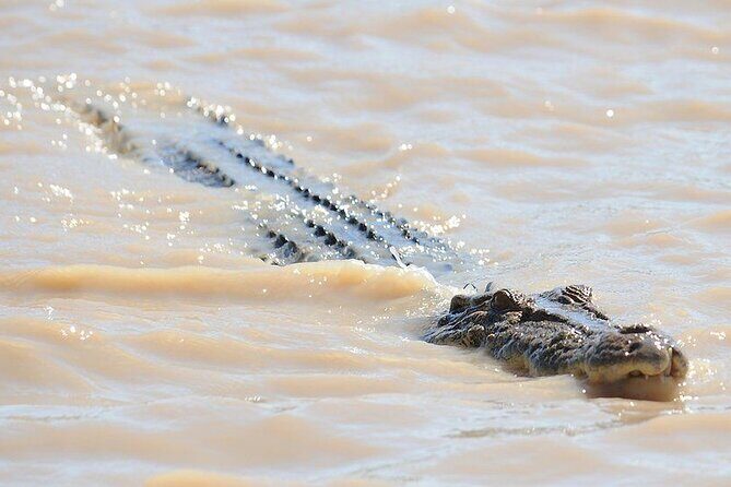 The Airlie Sightseeing Bus  (Cruise-Ship Friendly) - FAQ