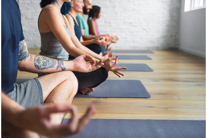 The Alchemist, Healing Meditation Yoga Retreat, Kerala , India - The Sum Up