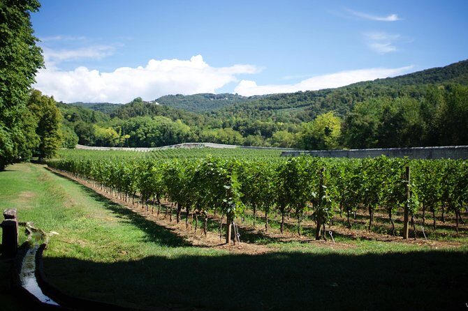 The Amarone Chateau guided tour and tasting in Valpolicella - A Deep Look at the Tour Experience