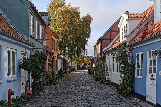 The Ancient Viking Stronghold of Aros: A Self-Guided Audio Tour in Aarhus - Practical Details & Tips