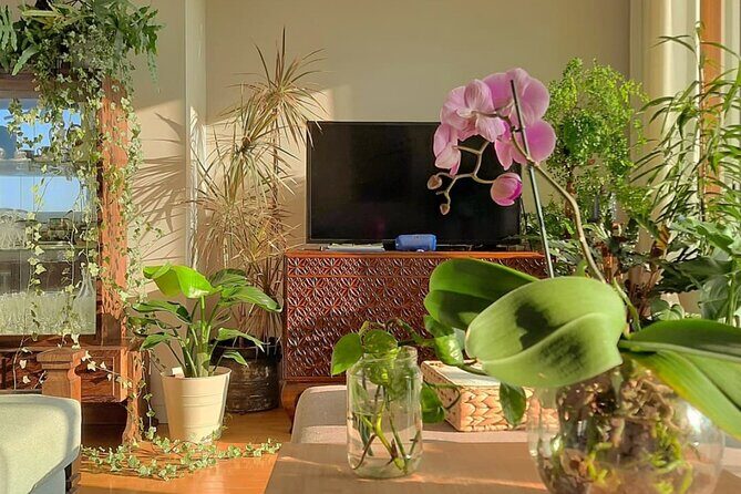 The Art of Eating and Making Friends - A Closer Look at the Experience