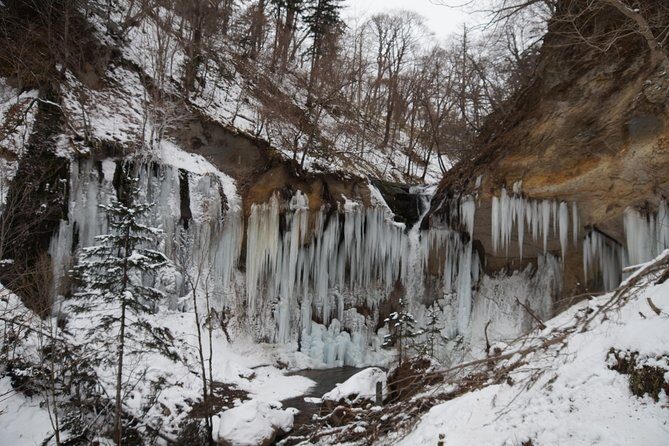 The Art of Ice - Nafuku Shichijo Otaki Snow Trekking Tour - Slightly difficult (Medium) - Exploring the Tour in Detail