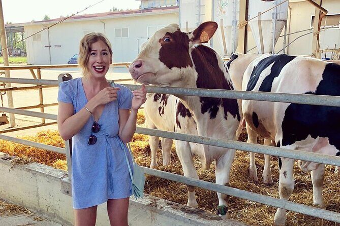 The art of Parmigiano Reggiano and real Balsamic vinegar - What’s Included and What to Expect