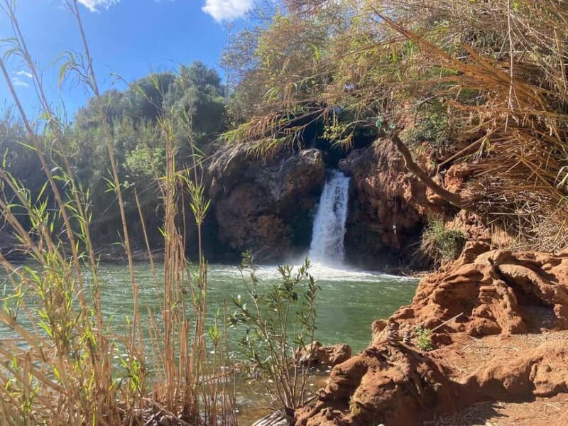 The authentic Algarve by bike: Between villages, beaches, and nature - What’s Included and What to Bring
