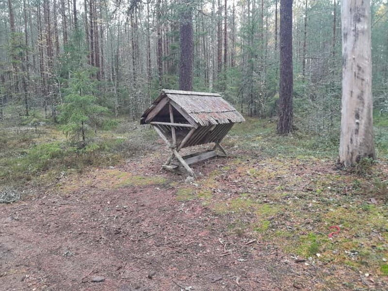 The Authentic Lahemaa daytour Carmen reisid - Key Points